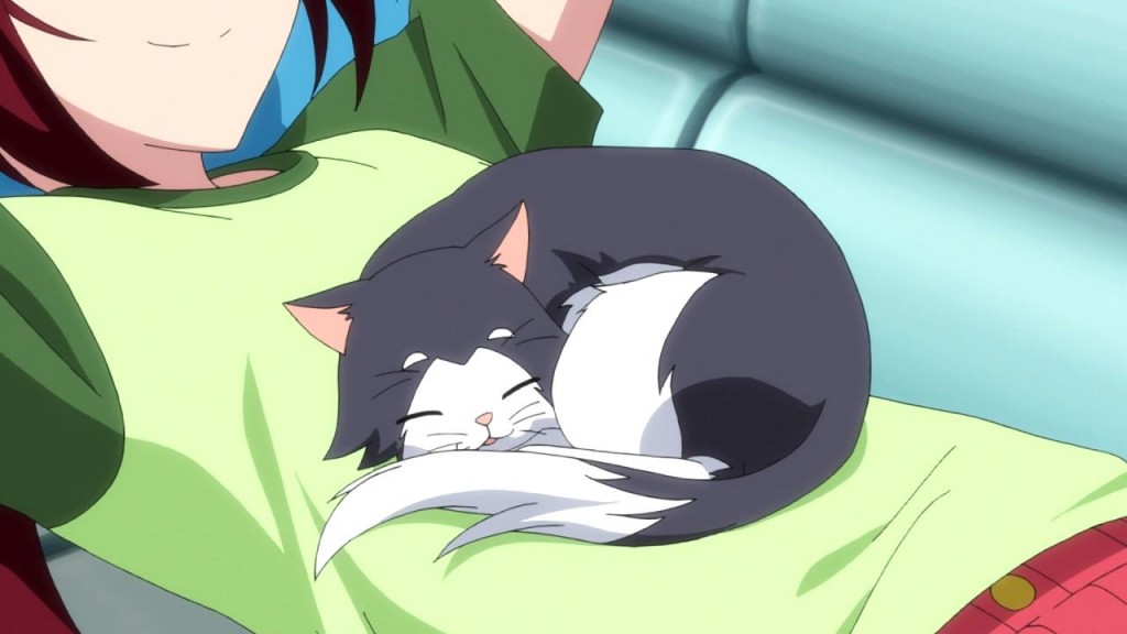 False. Cats love pillows.
